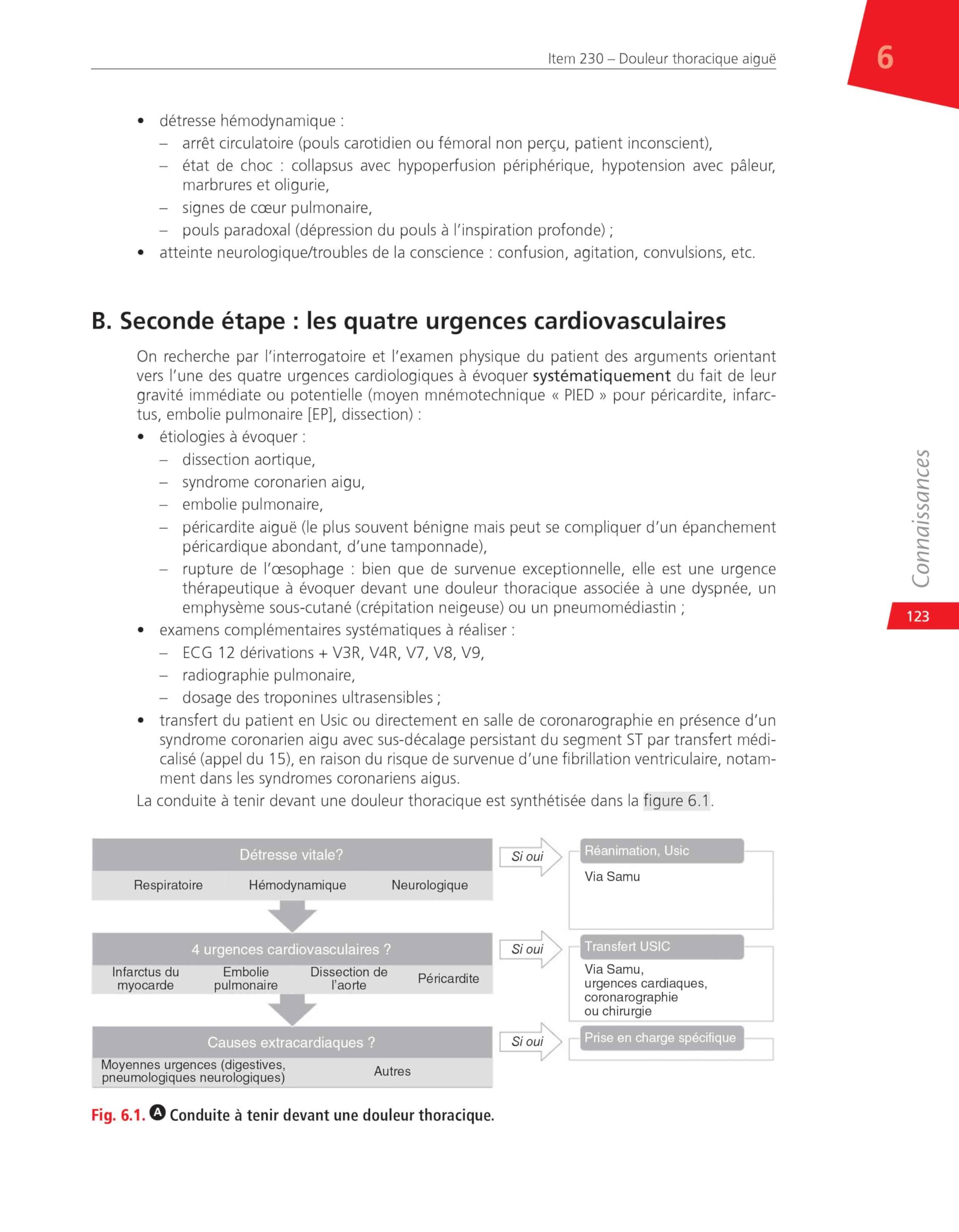 Médecine cardiovasculaire: Réussir ses EDN