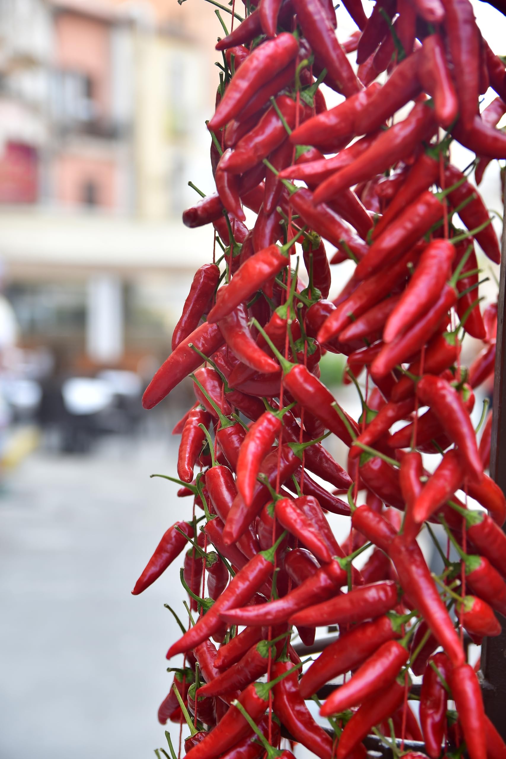 Sanniti Calabrian Chili Peppers | Italian Hot Long Chili Peppers | Perfect for Sandwiches, Salads, Pasta Sauces & More | 10 ounce Jar