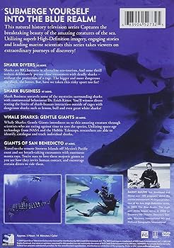 81ZhOqQ07UL._AC_UF350,