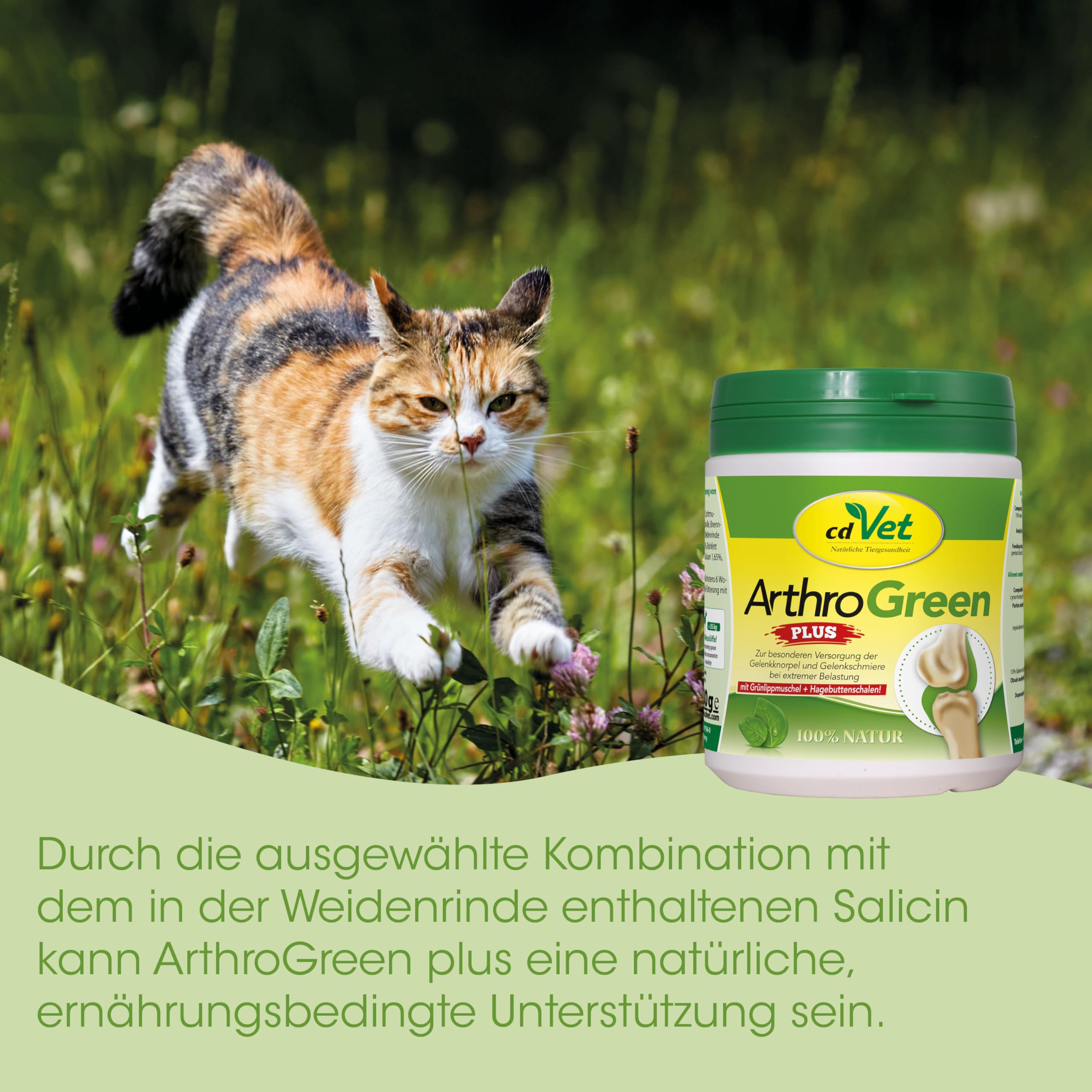 cdVet Natural Products ArthroGreen plus 330 g - apoya de manera óptima el sistema musculoesquelético y las articulaciones en fases agudas - apoyo relacionado con la nutrición - para la fuerza de los huesos y el cartílago -