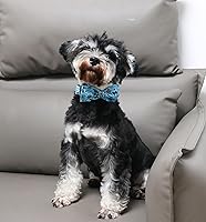 Vista 4 de Unique Style Paws Collar de perro de Halloween con lazo de algodón lindo pajarita para perros pequeños, medianos y grandes, vacaciones