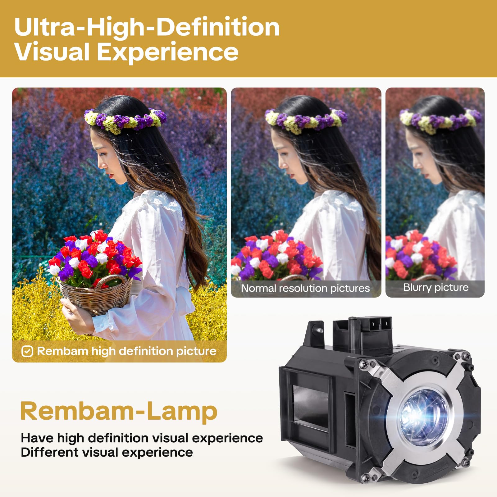 Amazon.co.jp: Rembam NP26LP 高品質交換用プロジェクターランプ