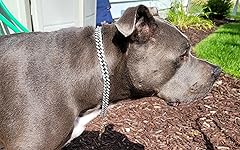 Review Image by Tomeyshia Walker Tomeyshia Walker