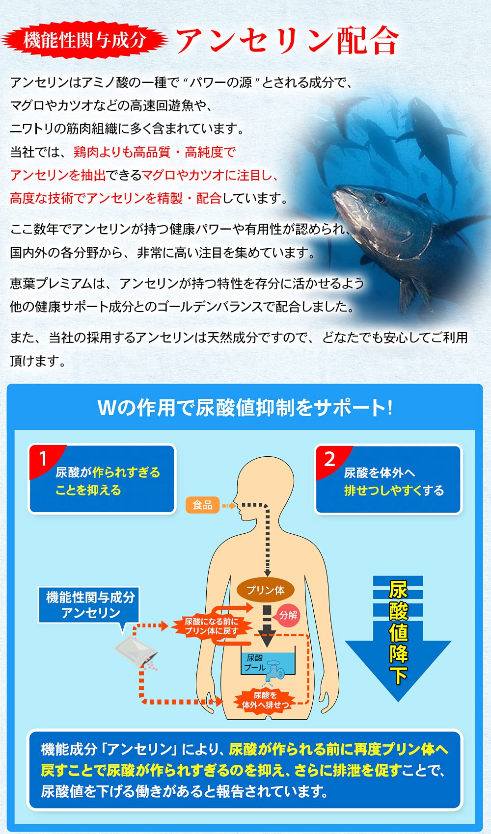 Amazon | 恵葉プレミアム90粒 | JNET‐STORE（コアシステム） | 食物繊維