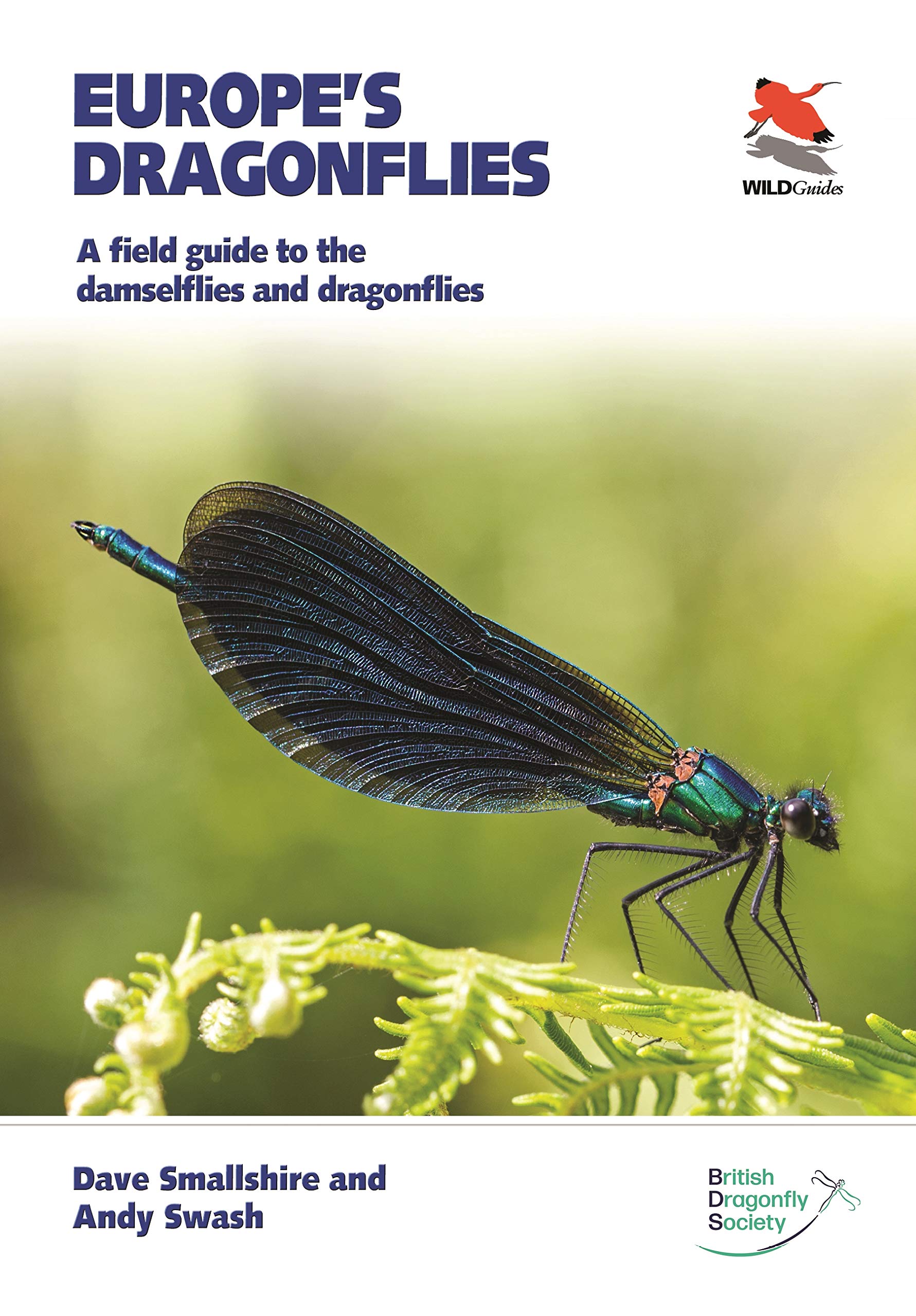 Princeton University Press Europe's Dragonflies: A field guide to the damselflies and dragonflies