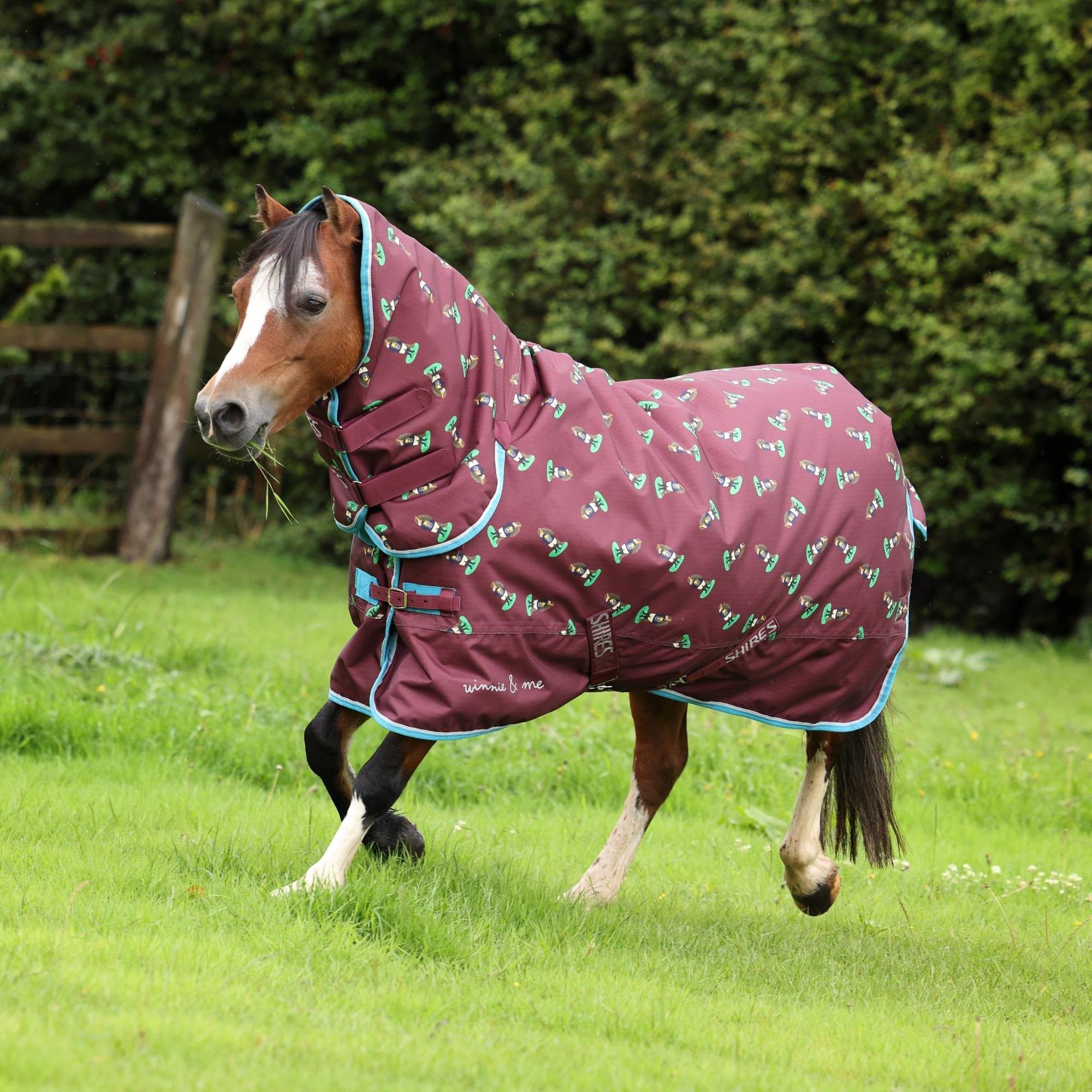 Shires Winnie & Me 200g Mediumweight Pony Turnout Rug - Maroon
