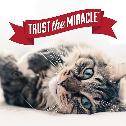 Miniatura 8 de Nature's Miracle Air Care, Spray para tela y superficie con aroma a lluvia de aloe y desodorante eliminador de olores de mascotas, 24 onzas líquidas