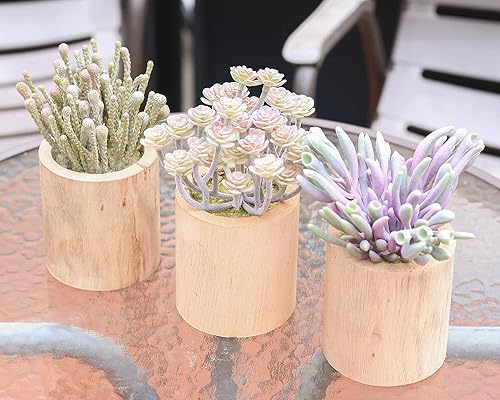 Miniatura 4 de ANGELLOONG Plantas falsas para decoración de sala de estar, plantas artificiales para decoración del hogar en interiores, plantas sintéticas moradas