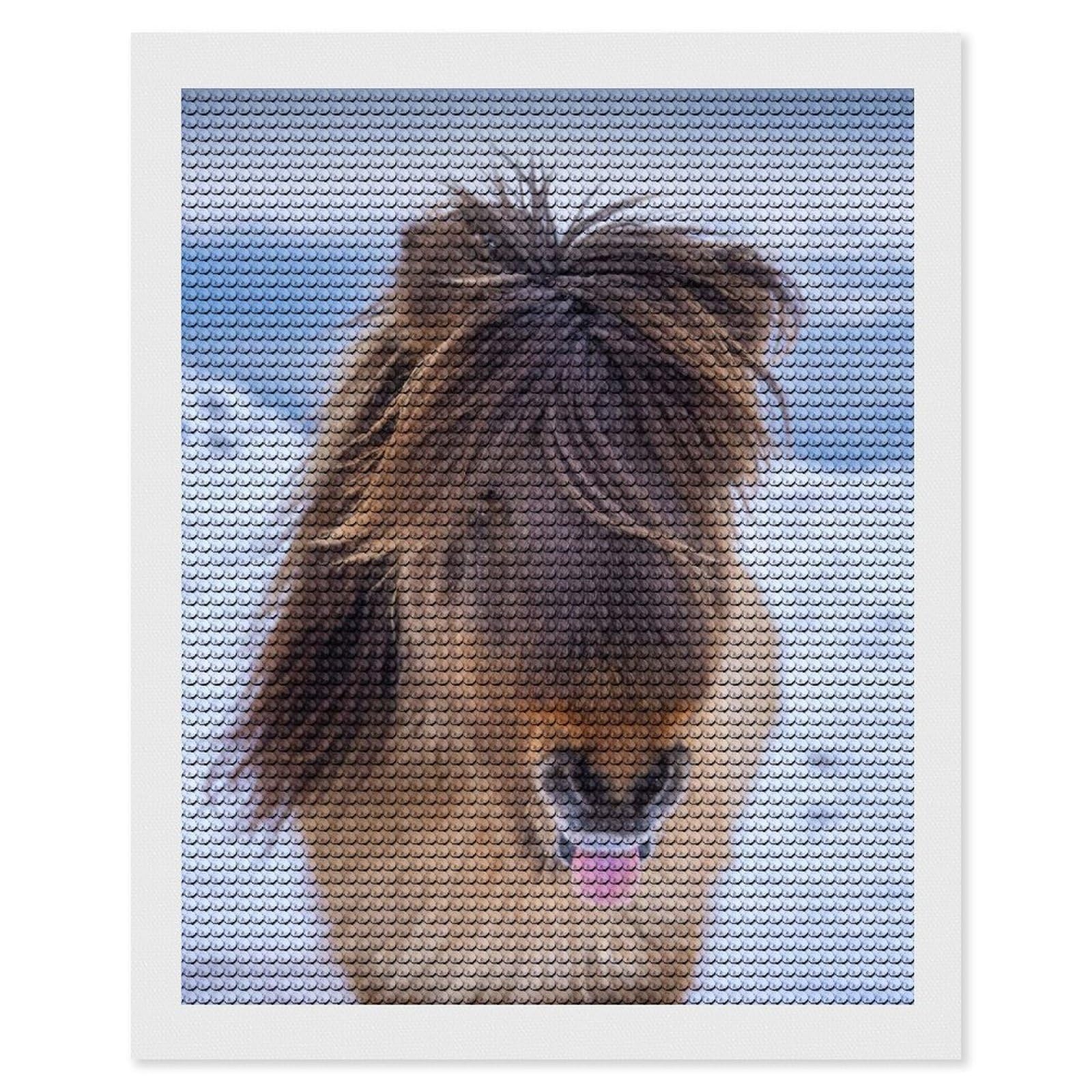 Junmoney Cute Portrait of Horse Round Drill Diamond Painting 16"x20", for Craft Lovers, Stress Relief Craft, Bedroom Decor, Festive Craft Gift