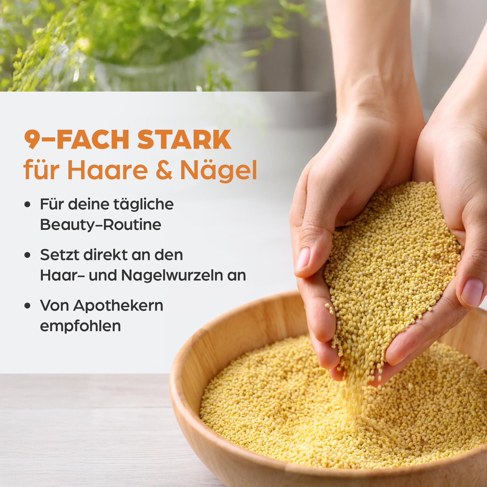 Dr. Böhm Haut Haare Nägel: Vitamine & Nährstoffe für Haut, Haare & Nägel, mit Silizium aus Goldhirse & Kieselerde, Selen, Biotin, Zink, 60 Tabletten