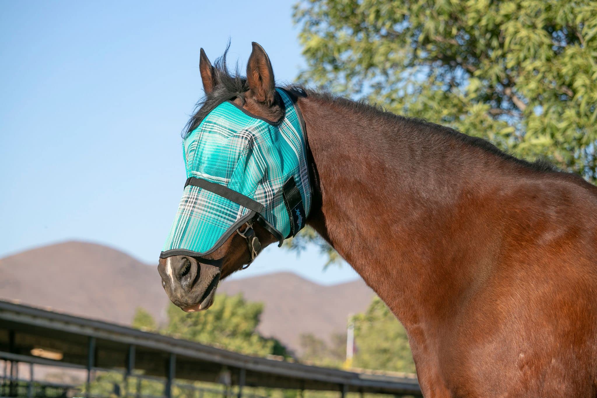 Kensington Signature Fly Mask w/Removable Nose (L-Average, 2021 - Atlantis)