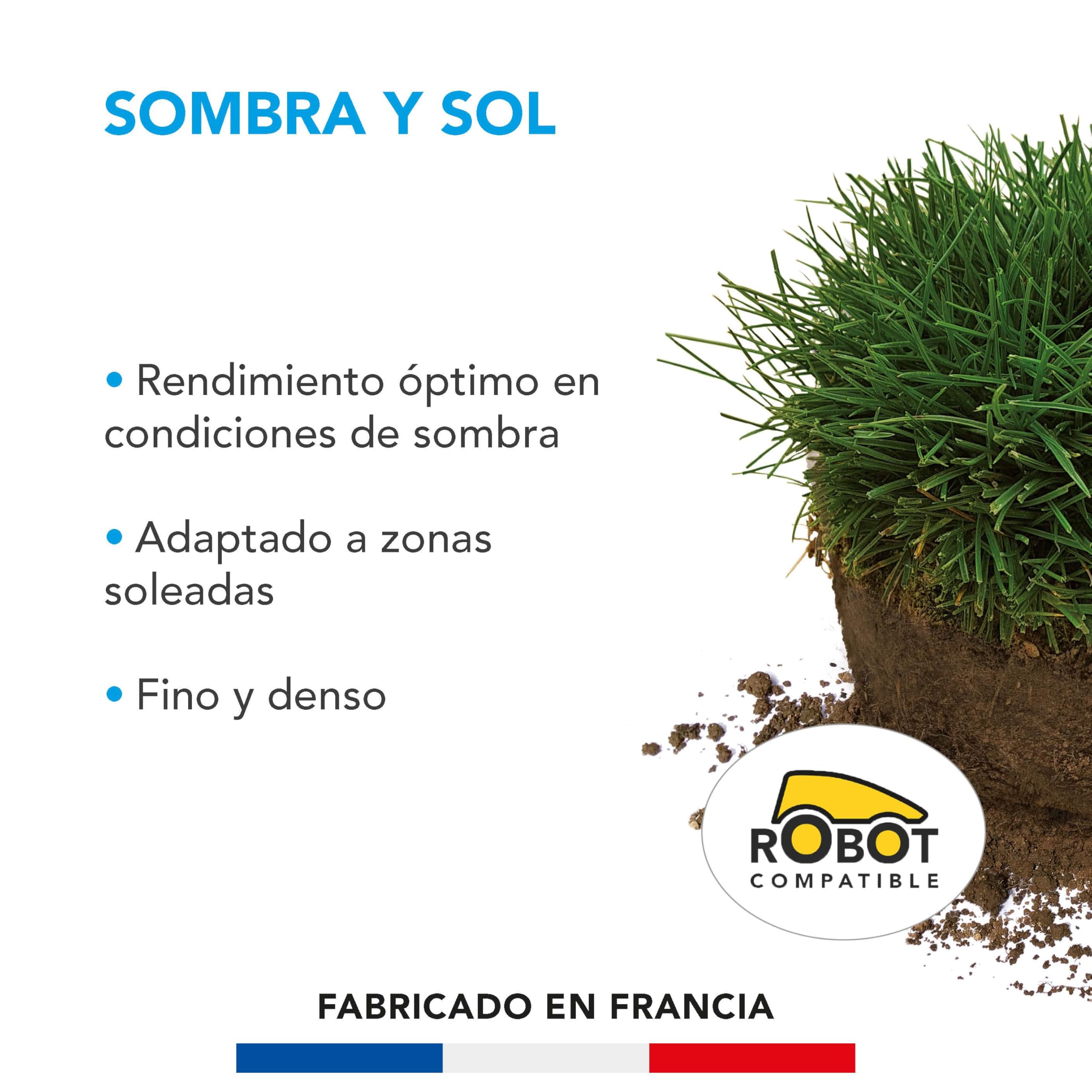Barenbrug - Césped Sombra y Sol - Alto Rendimiento en Zonas Sombrías - Apto para Zonas Soleadas - Fino y Denso - Ideal para Reverdecir Pequeños Jardines Urbanos - Fabricado en Francia - 1 Kg