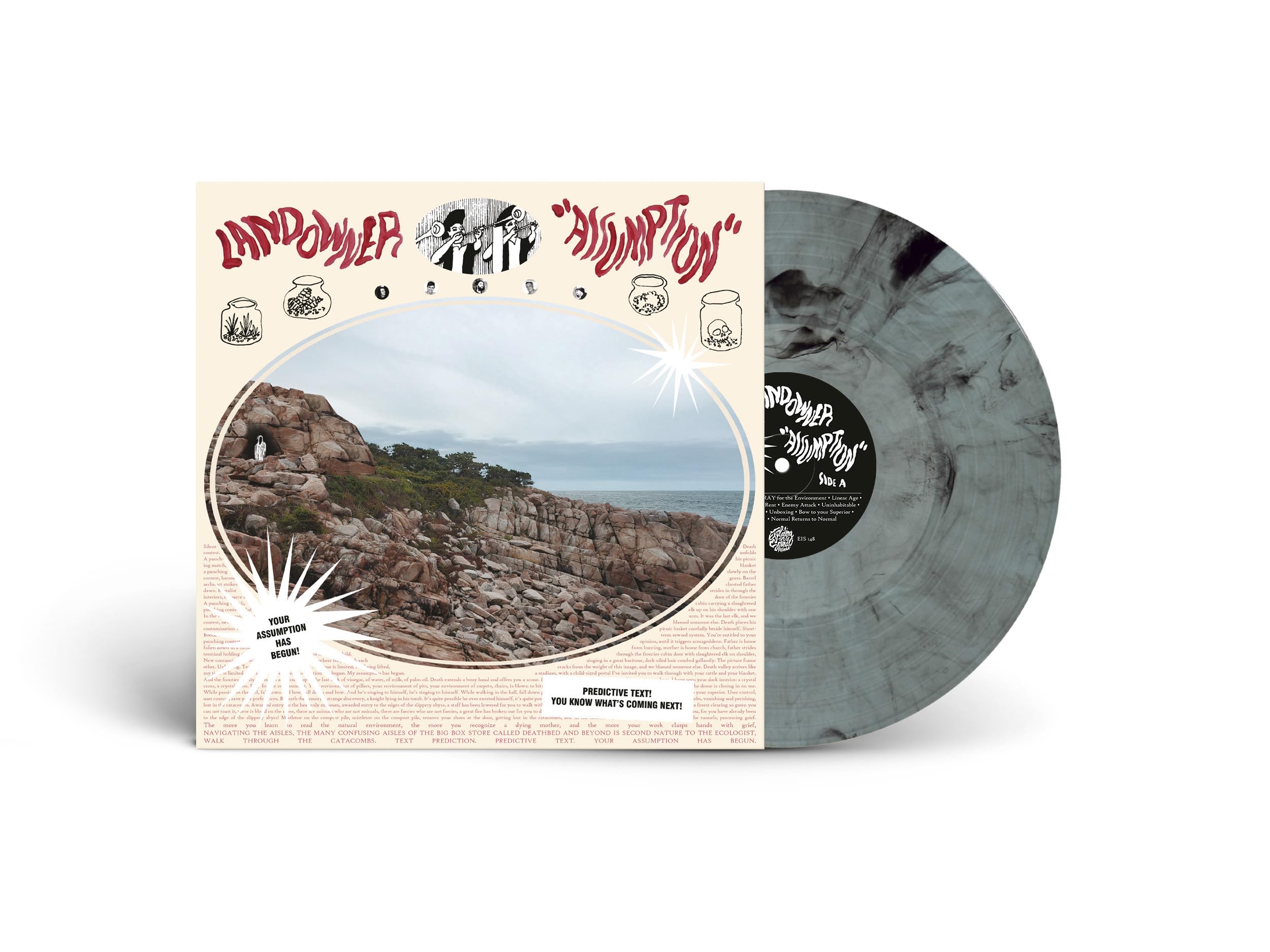 Assumption [VINYL]
