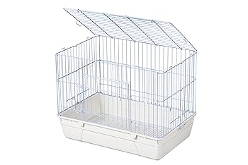 ラビットホワイトルーム62 ラビットホワイトルーム62