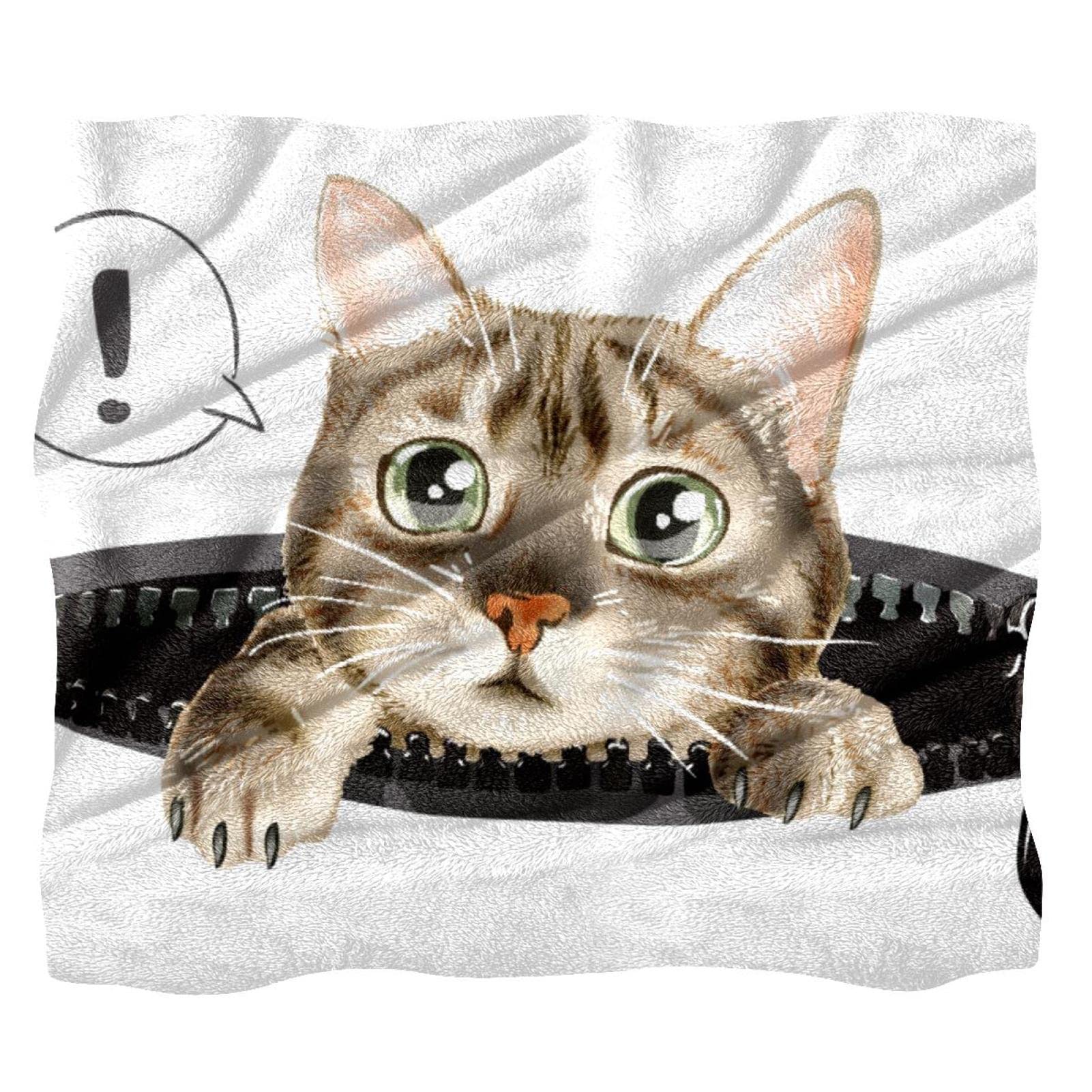 Couverture polaire anti-froid pour canapé et lit - Plaid chat doux fini les frissons