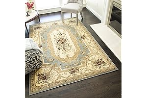 Rugs America Sorrento Aubusson Area Rug: 5'3" x 7'10"
