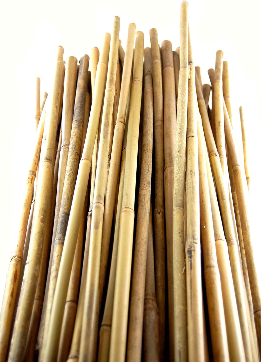 Bamboo Stakes - Natural - (H) 5' x (D) 7/16 - Plant Canes - Bundle of 250 by Growers Solution