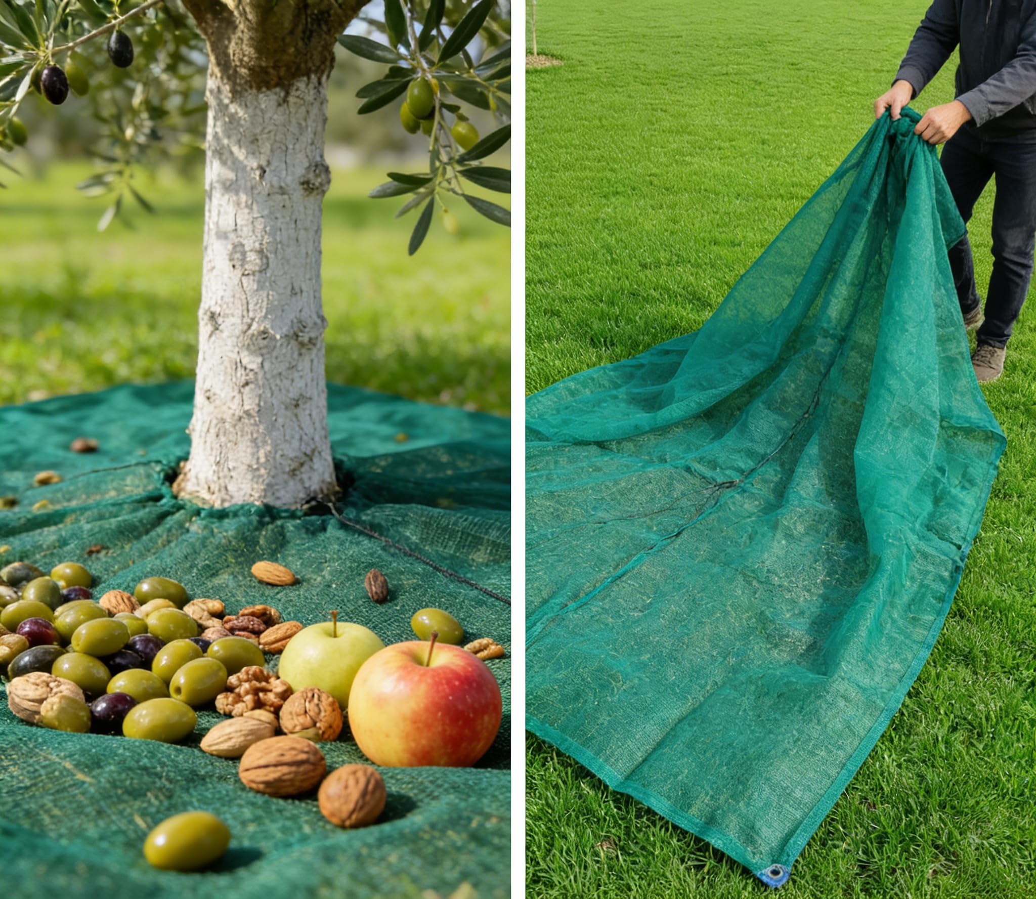 HDPE Red de Recogida de Frutas para Árboles con Apertura Ajustable | 5×5m Resistente UV,Abertura Central Con Cordón Ajustable,Cierre Autoadherente,Bordes Reforzados 4 Piquetas,Huertos Jardines.