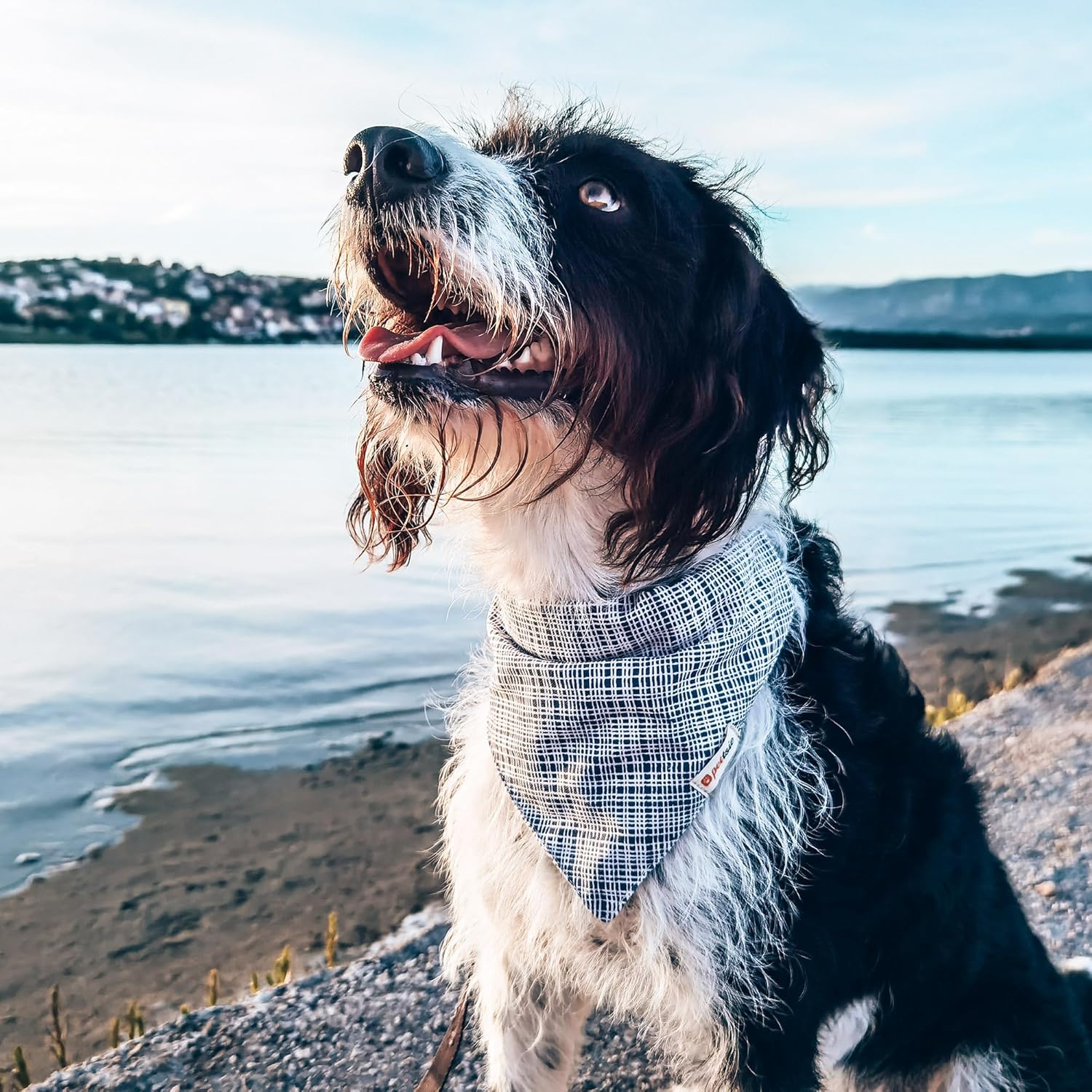 Pettsie Dog Bandana Collar with Matching Friendship Bracelet – Durable Hemp, Soft, Adjustable, Gift Box, Suitable for Every Dog Size