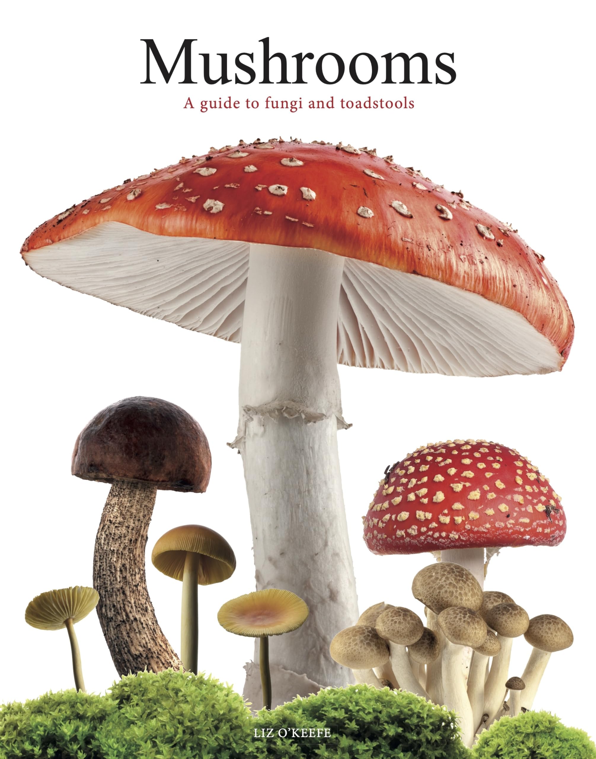 Mushrooms: O'Keefe, Liz: 9781838864392: Books - Amazon.ca