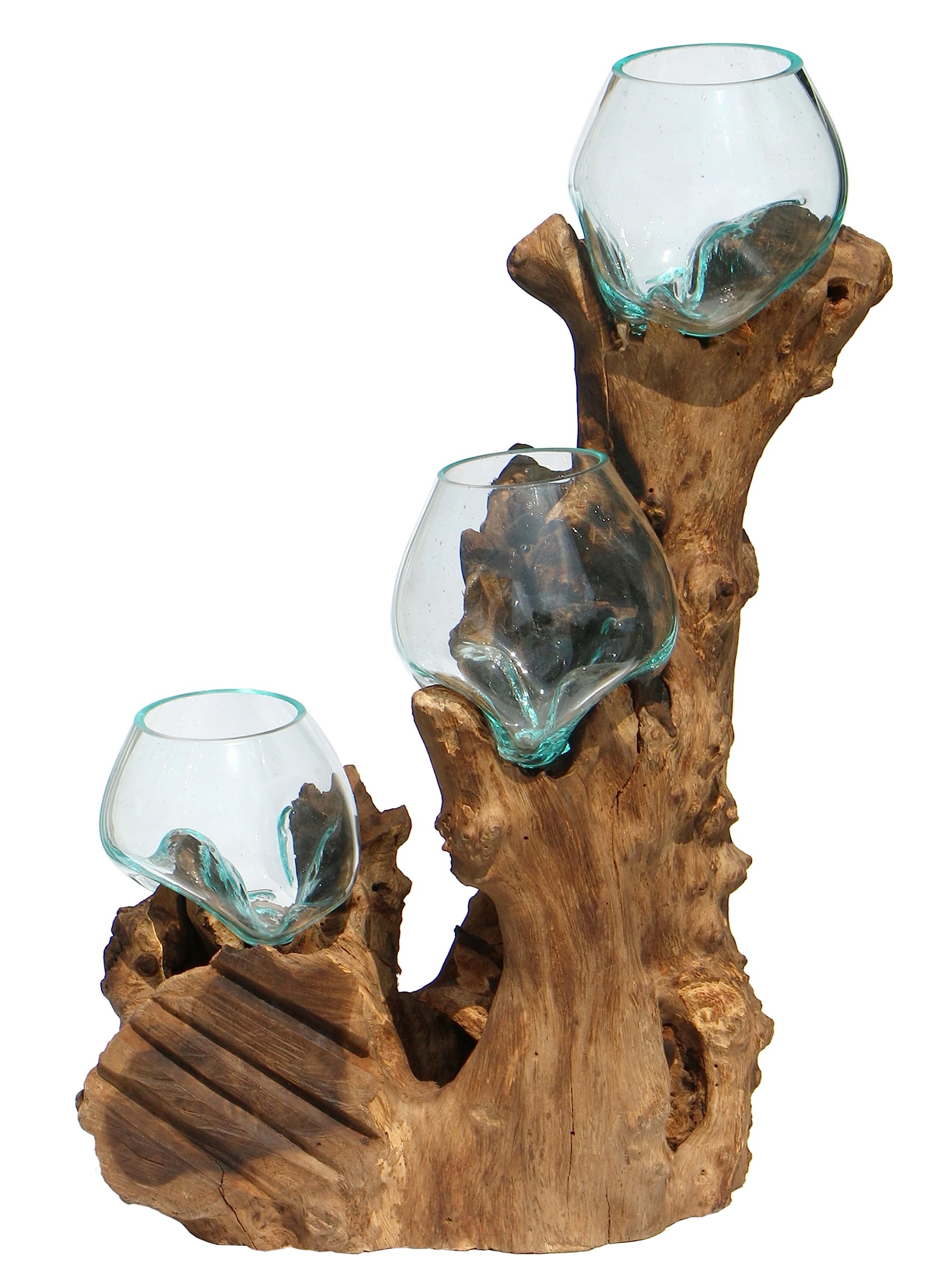 3er Glas-Vase auf Wurzel-Holz Gamal - im modernen Style aus Holz als Geschenk-Idee zu Weihnachten Geburtstag Dekoration (TRIO10 (Ø Glas 10 cm))