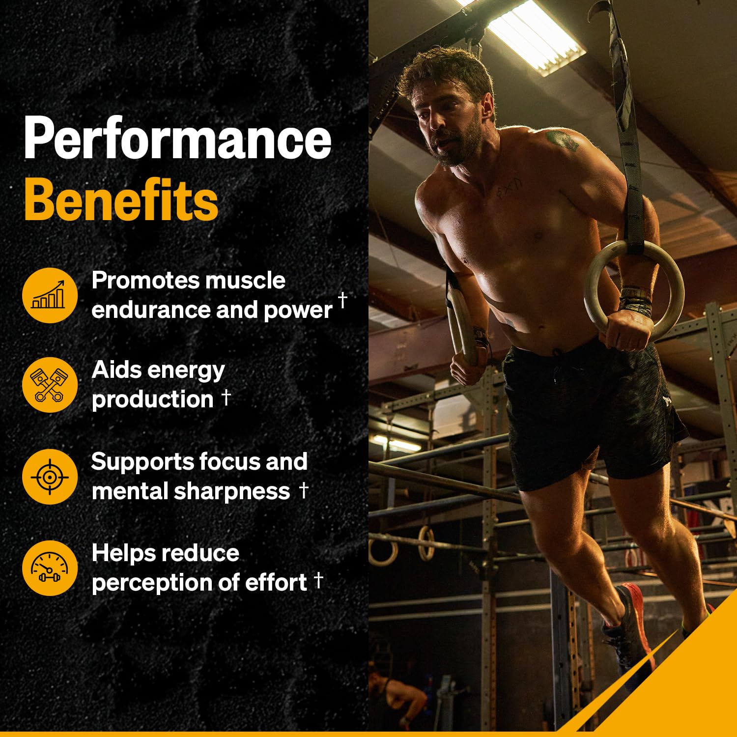 ONNIT Alpha Brain Pre-Workout Powder for Focus, Tigers Blood, 20 Servings — Amazon image 4