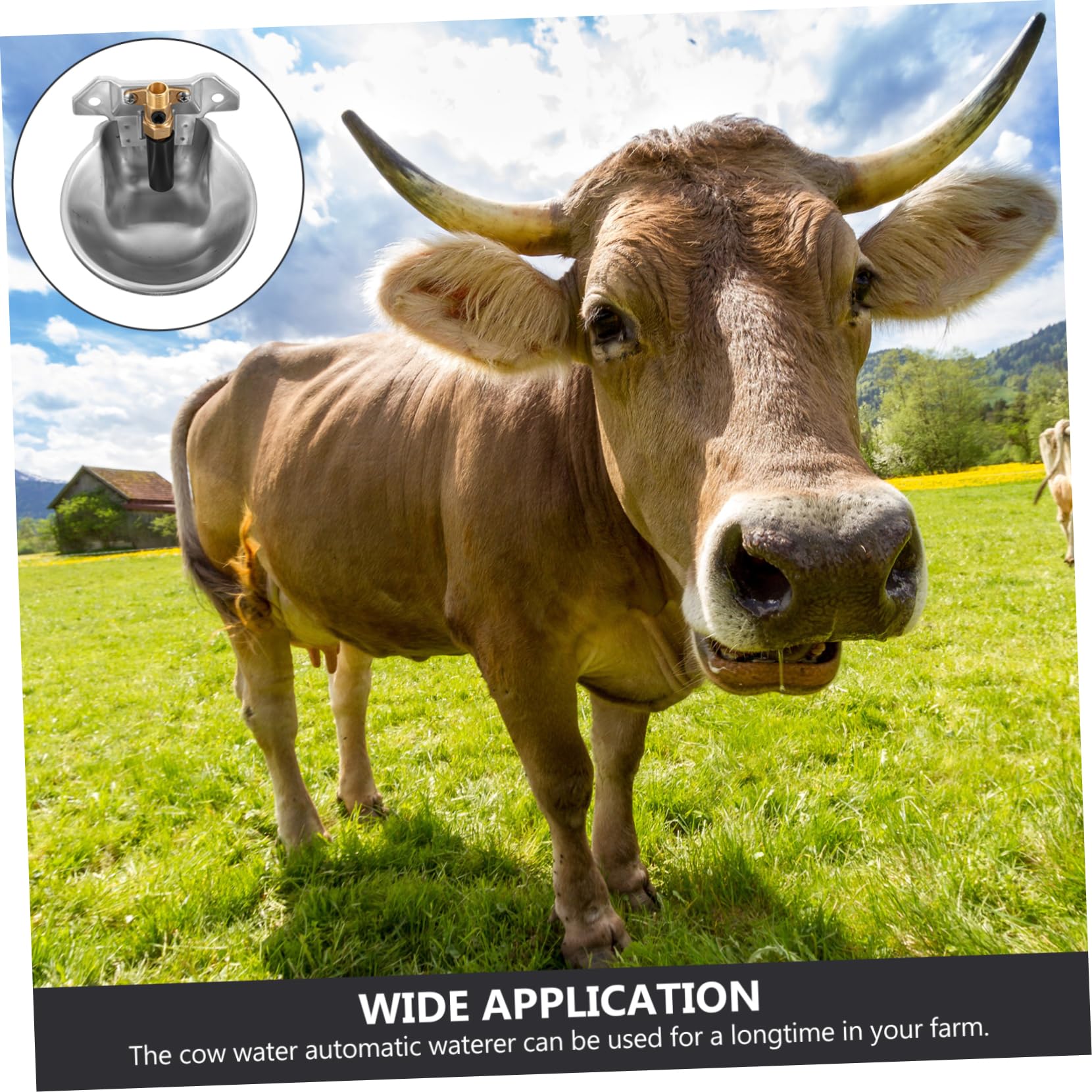 Bebedero Automático para Ovejas y Vacas de Granja, Capacidad Grande, Acero Inoxidable Superficie Lisa y Borde Redondo para Uso en Granja