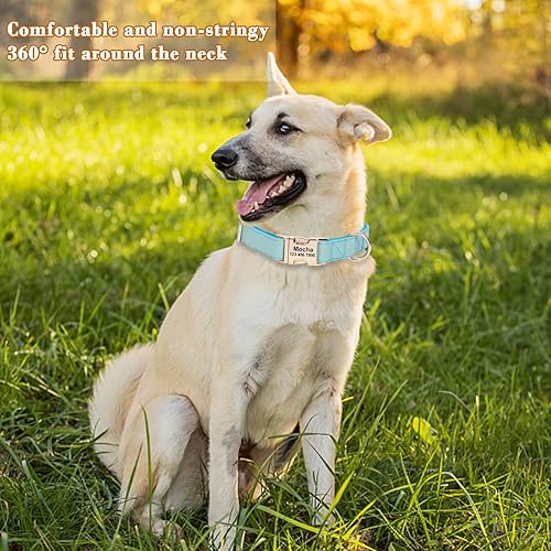 Miniatura 7 de Collar de perro personalizado con nombres y número de teléfono grabado, personalizado para mascotas pequeñas, medianas y grandes, etiquetas para