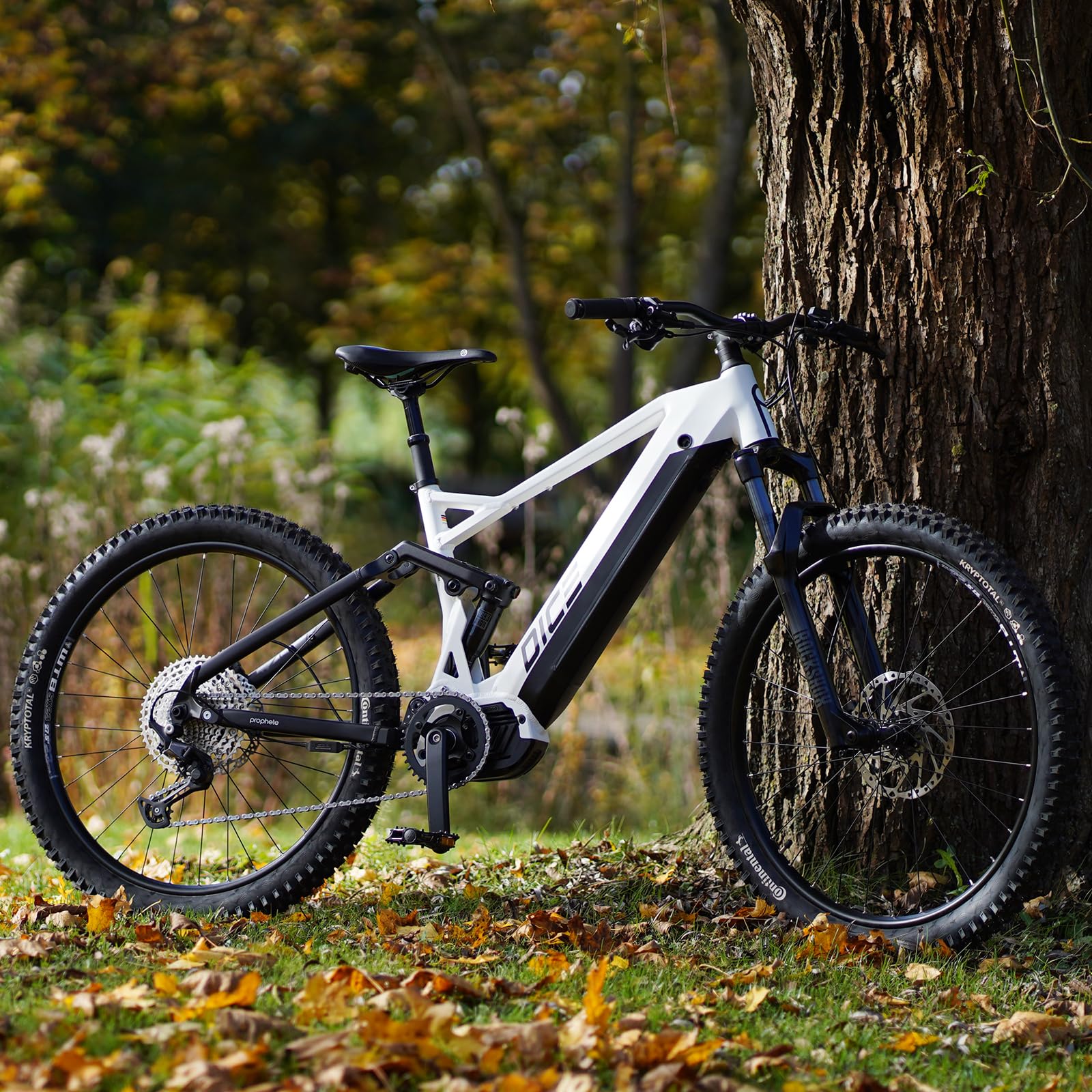 Prophete Dice 5.0 E-MTB E-Bike Fully 27,5 Zoll - 720Wh - Integrierter Akku - Mittelmotor AEG - 12-Gang Kettenschaltung - HDY. Scheibenbremse - Rahmenhöhe 48 cm