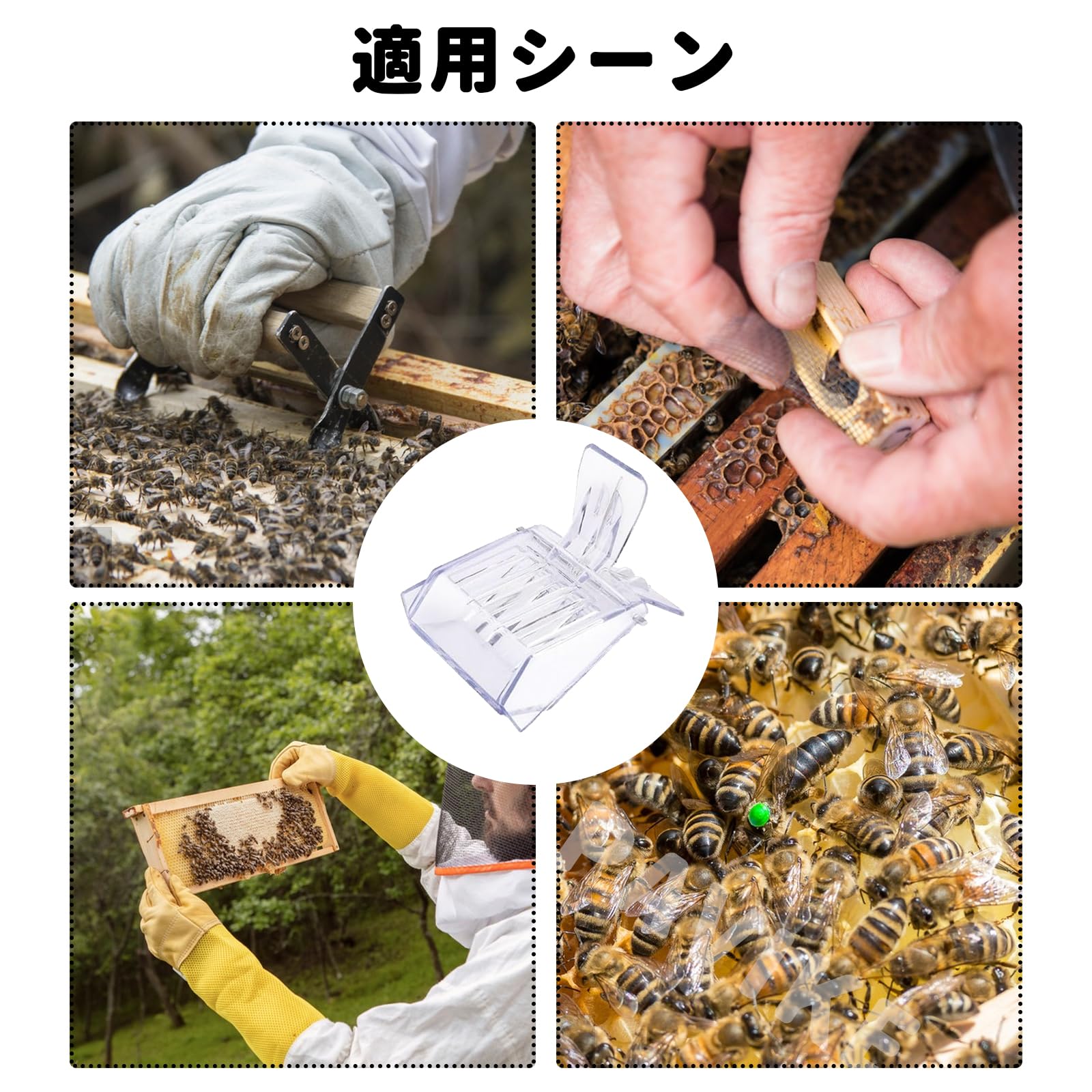 Amazon.co.jp: PAVIKE 女王蜂キャッチャー女王蜂ケージ 女王蜂 飼育