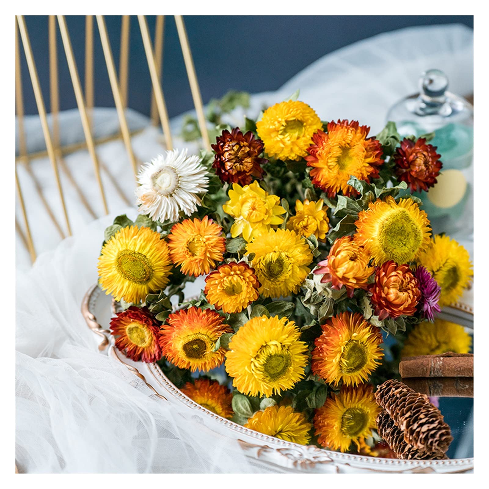 Fleurs séchées, Bouquet de Marguerites Gerbera séchées Multicolores 20 pcs(Dark Color)