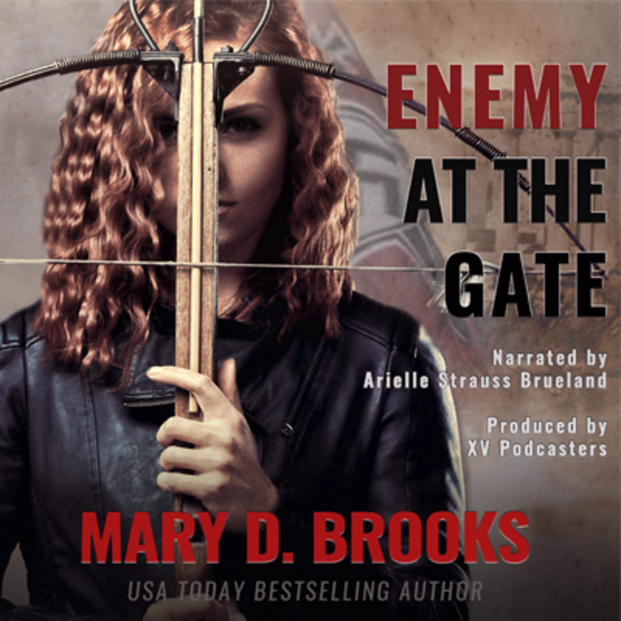 Cover art for Enemy at the Gate
