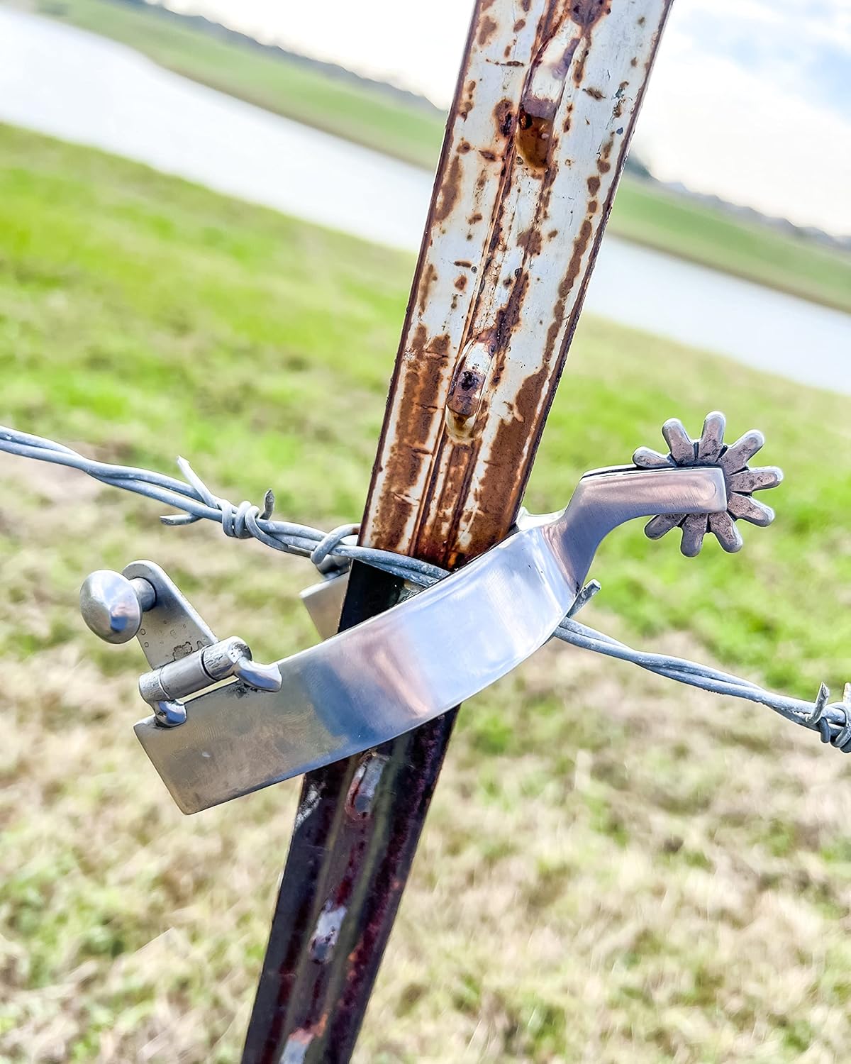 AJ Tack Men's Brushed Stainless Steel Spur