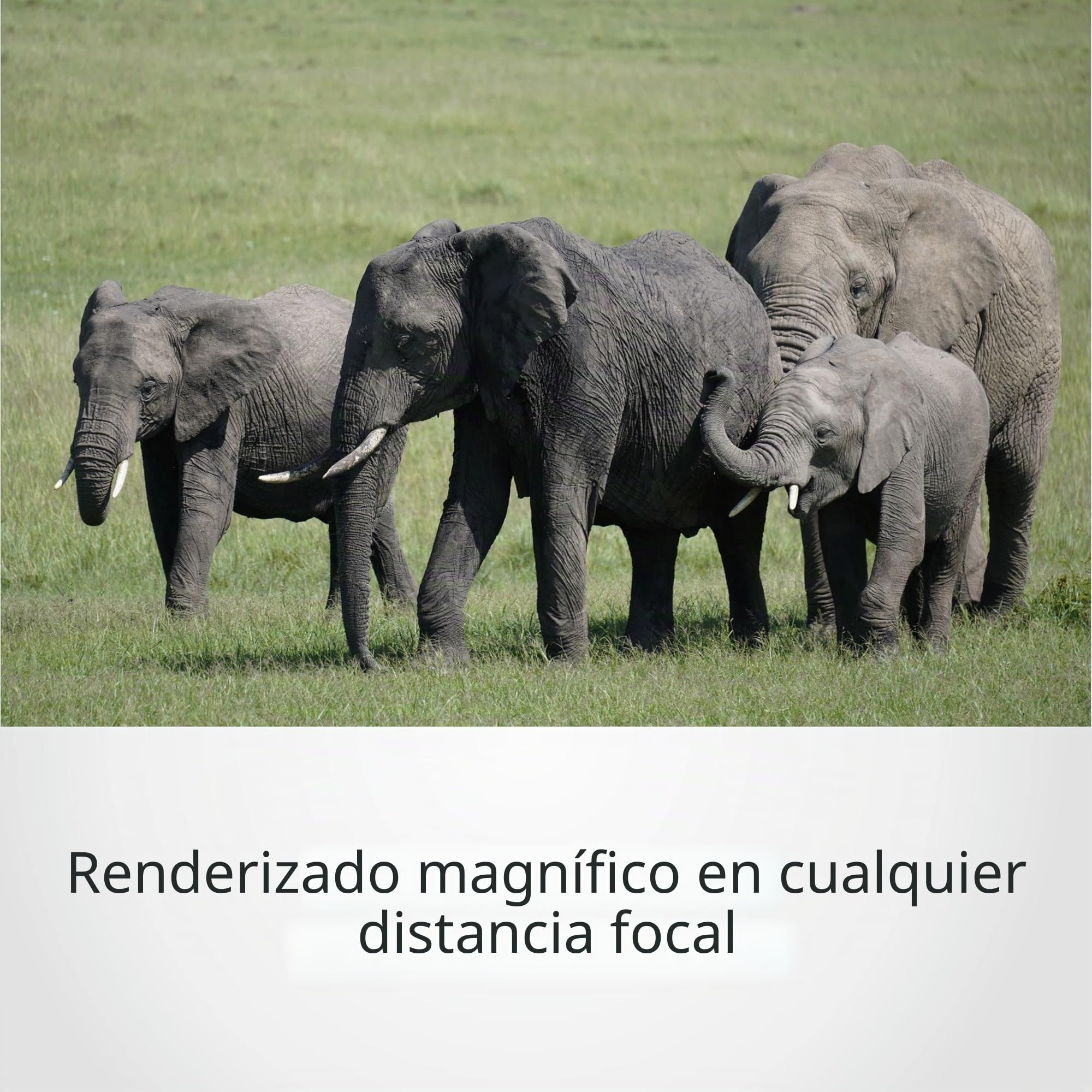 Sony SEL70350G, Objetivo 70-350 mm F4.5-6.3 G Superteleobjetivo zoom APS-C, con OSS, montura E. Ideal para naturaleza, deportes y viajes (compatible con ZV-E10, A6400, A6700)