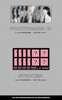 BLACKPINK アルバムセット フォトカード付き Amazon.co.jp: BLACKPINK (ブラックピンク) - THE ALBUM (Vol.1