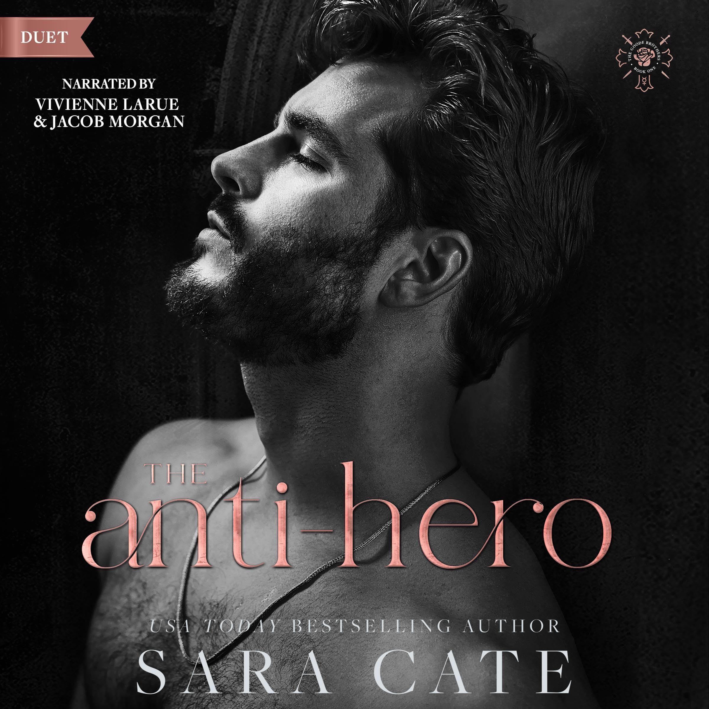 Cover art for The Anti-Hero