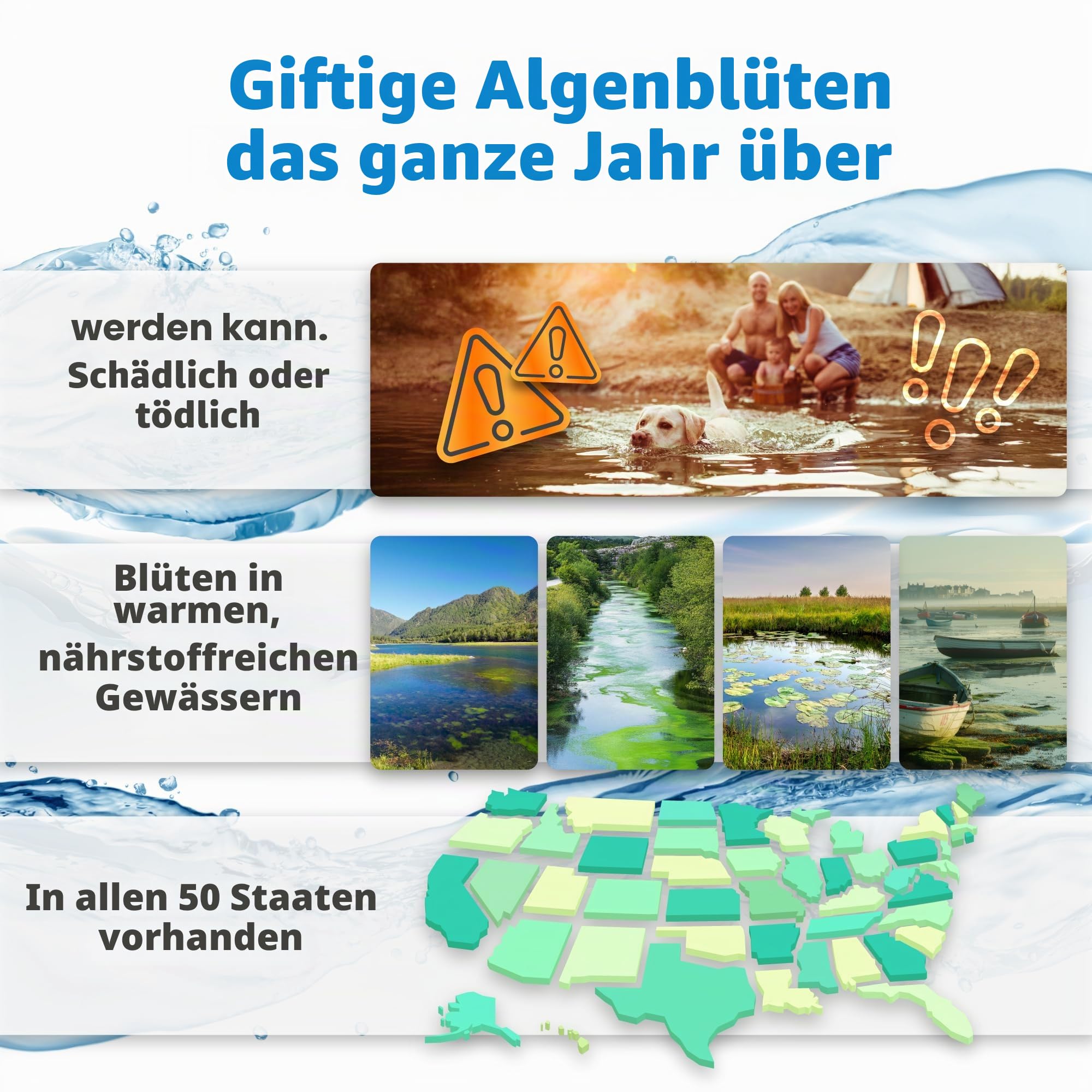 5Strands Blau-Grünalgen-Test für Seeteich Wasserprobe zu Hause, Ergebnisse in 15 Minuten