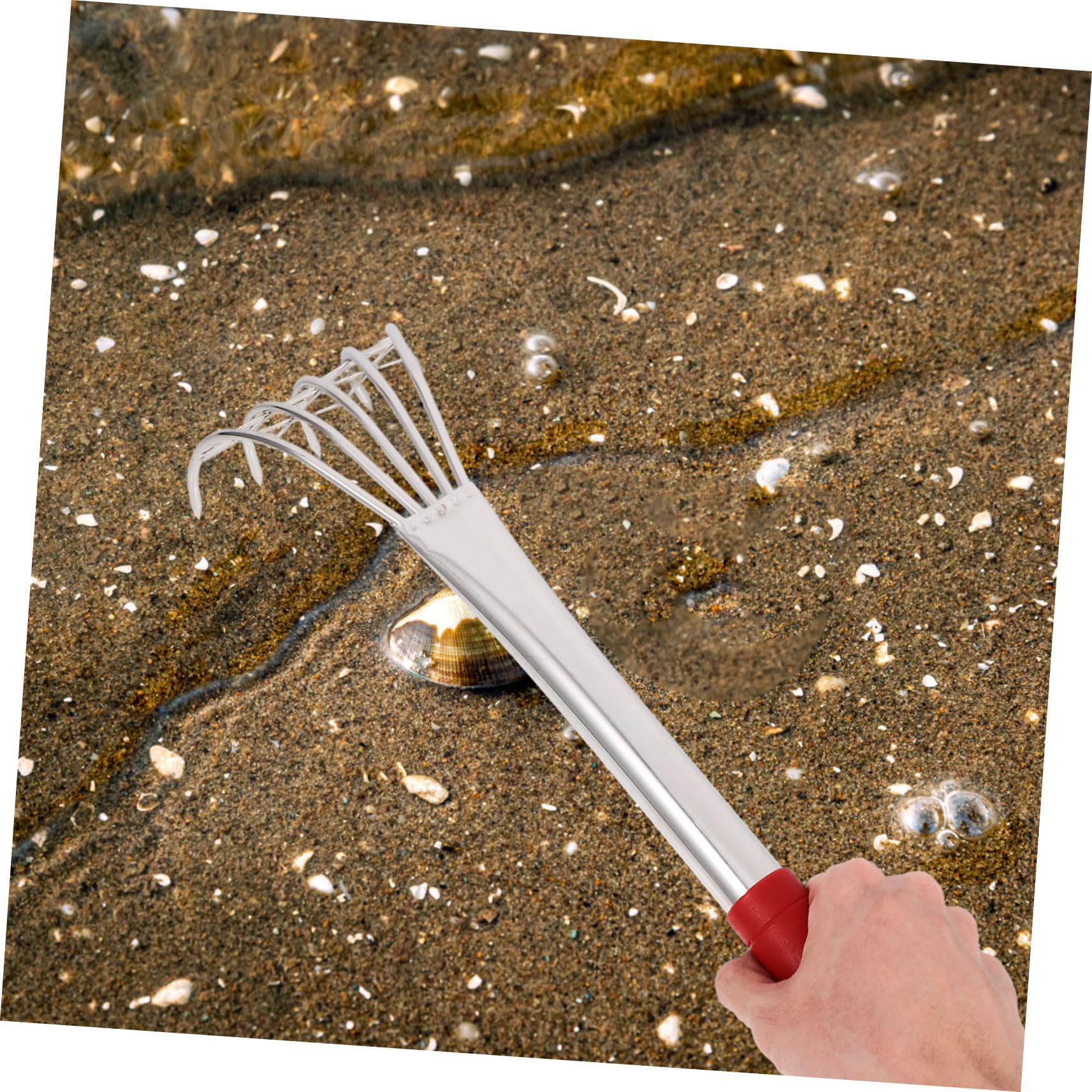 2 Stück Edelstahl Strandrechen mit Klauen für Muschelsuche Langlebiges Gartentool zum Graben Am Strand Teiliges Praktisches Greifen von Muscheln und Meerestieren für Outdoor