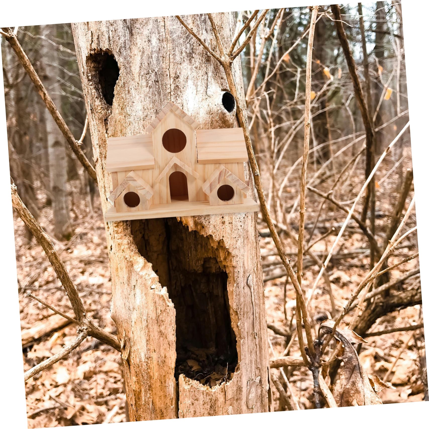 Generico Casetta per Colibrì in Legno per Esterni Nido per Uccelli Spazio per Fringuelli Casetta Decorativa per Uccelli da Giardino