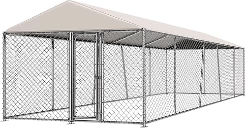 Lyromix Perrera grande de 10 x 20 pies para perros con techo, perrera exterior con cubierta impermeable, galvanizada y resistente, jaula para perros