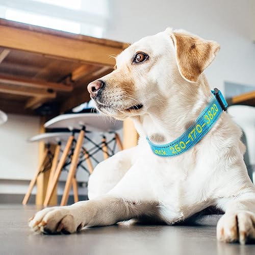 Miniatura 8 de Collar de perro bordado personalizado con nombre de identificación de cachorro y número de teléfono de mascota, collares básicos reflectantes para