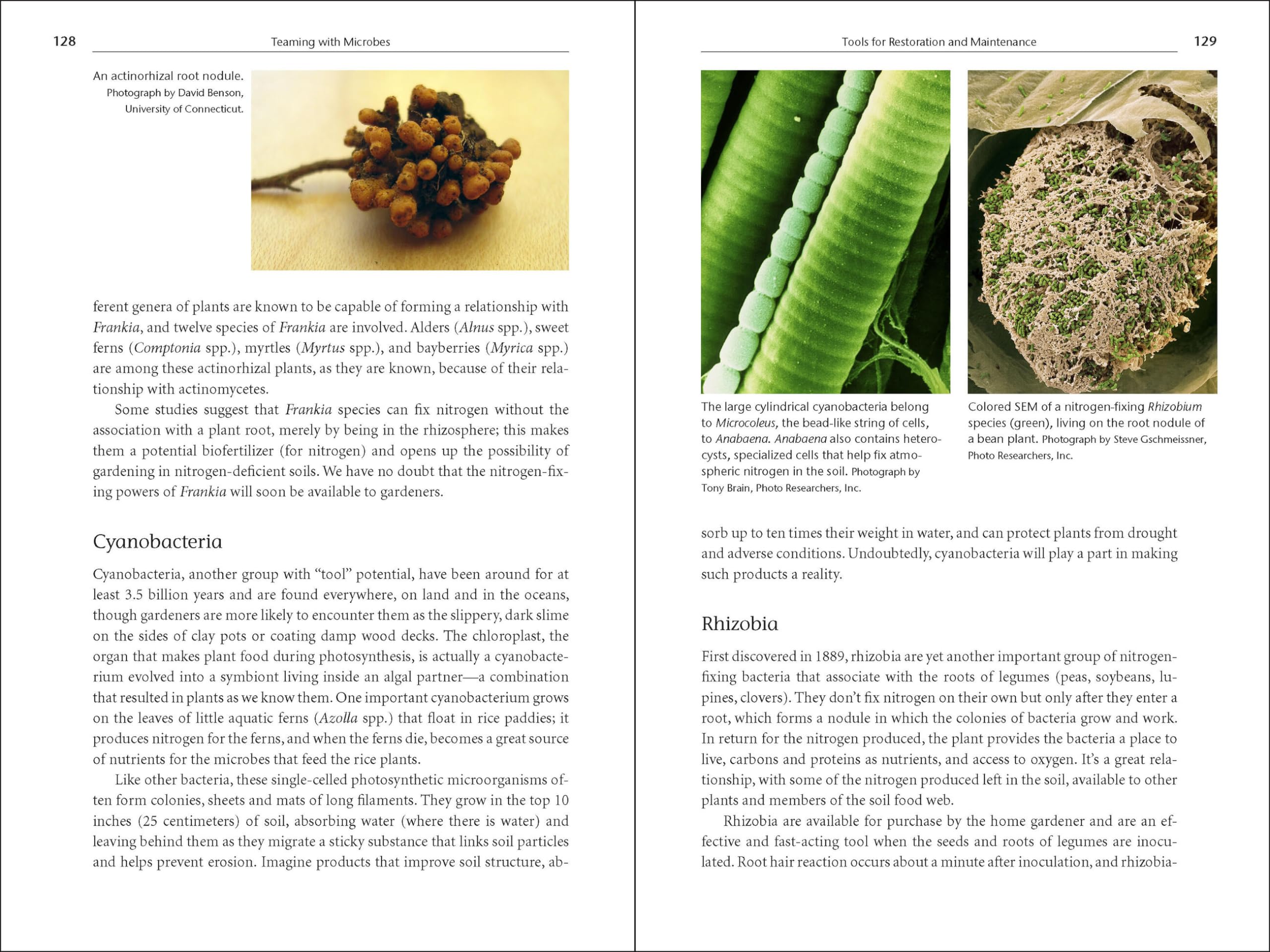 Teaming with Microbes: The Organic Gardener's Guide to the Soil Food Web