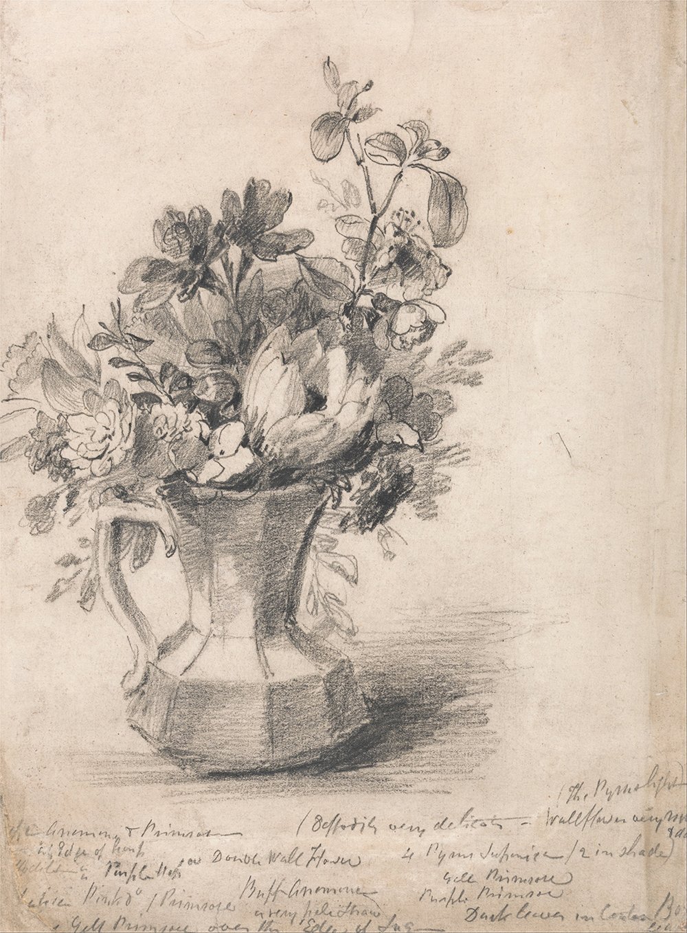 Cadre John Constable Flowers in a Pitcher papier mat haute qualité
