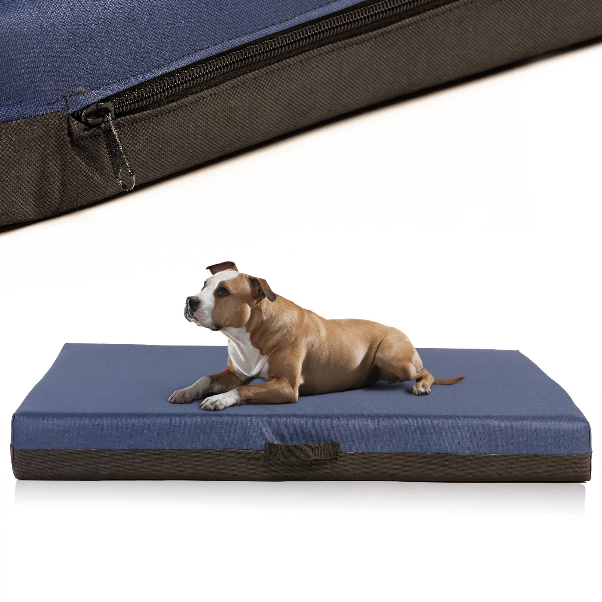 COOL PET Materasso ortopedico per cani, 120 × 80 × 10 cm, in schiuma visco (memory foam), resistente rivestimento Oxford 600D con rivestimento in PVC idrorepellente, Made in EU, colore: blu scuro