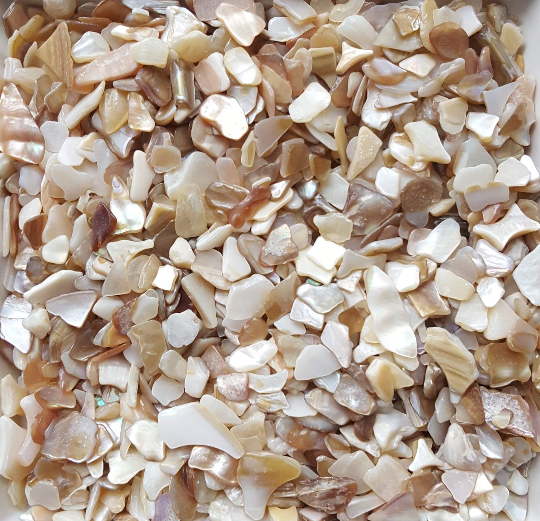 Natural Vase Fillers Vases For You