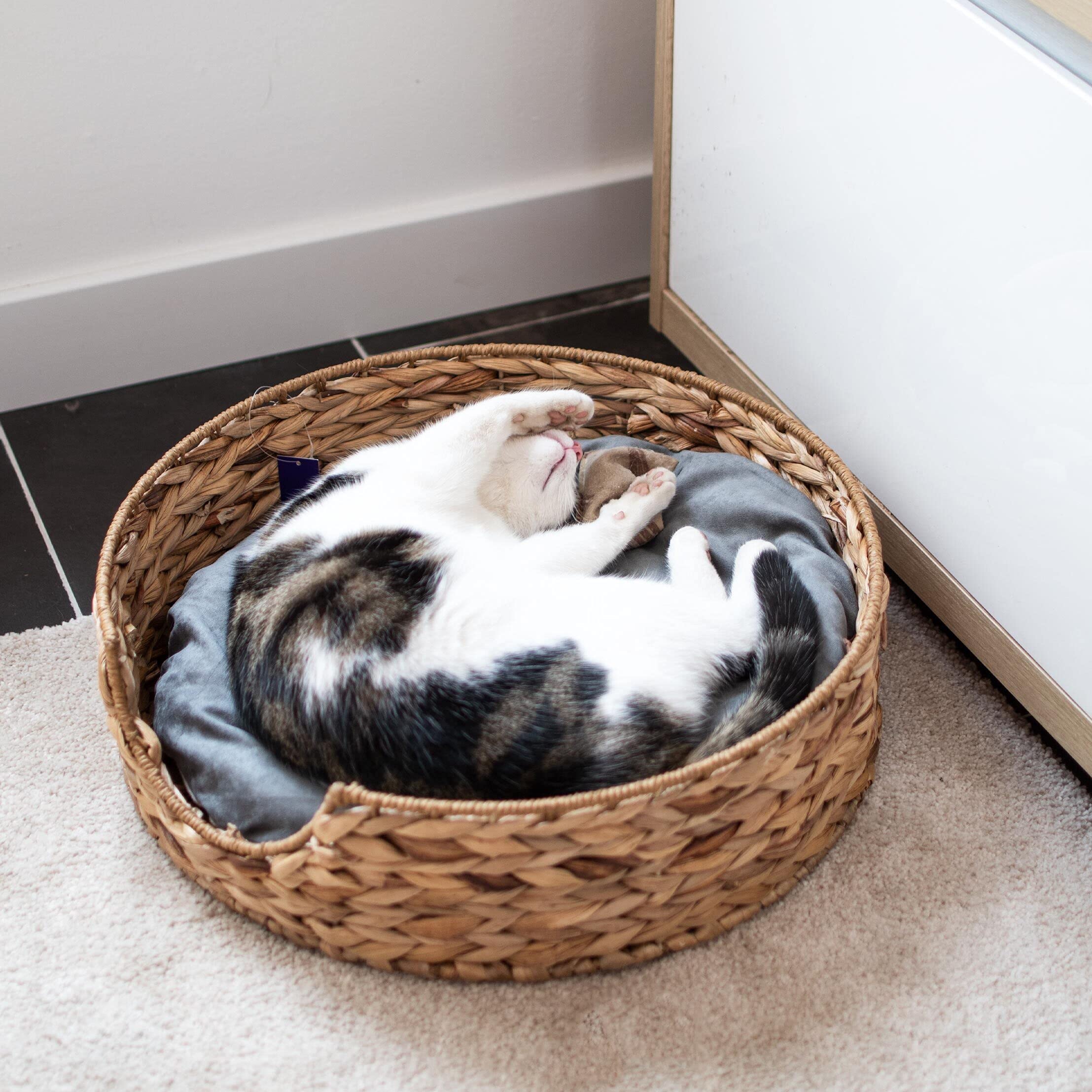 UNUS Animals - Cama redonda con cojín, cesta para perros y gatos, diámetro de 49 cm