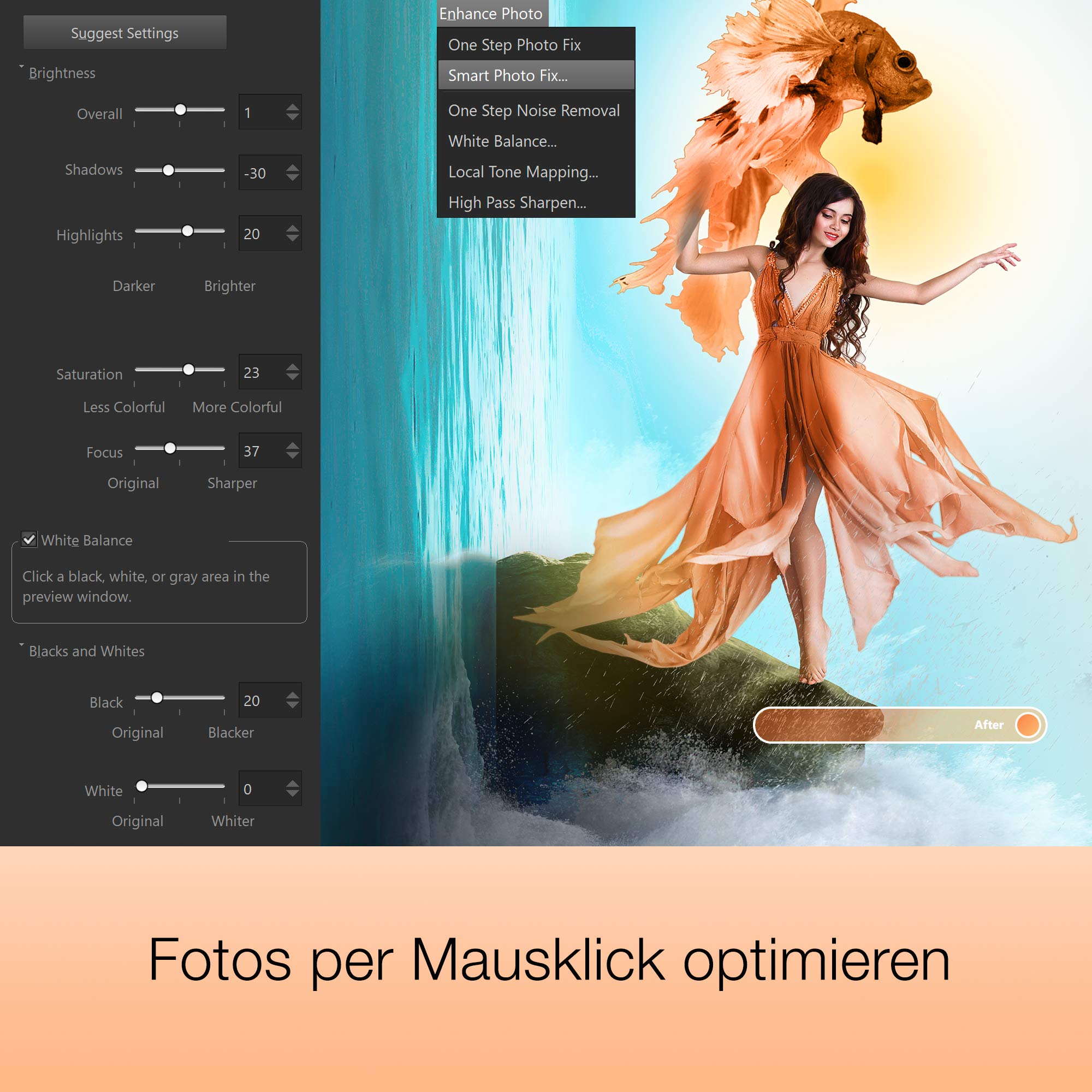 Corel PaintShop Pro 2021 Vollversion, 1 Lizenz Windows Bildbearbeitung