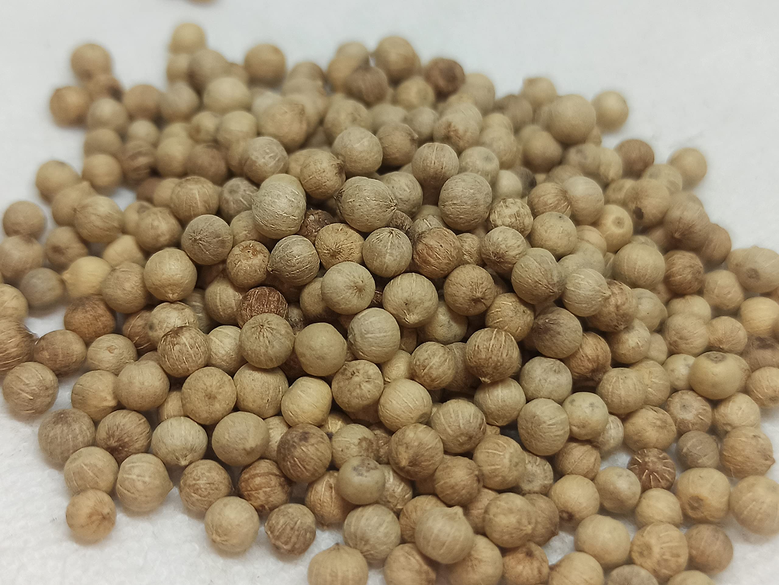 NATURALIFES-*VELLAI MILAGU*-Piper Nigrum I Vellai Milagu/வெள்ளை மிளகு I White Pepper I कालीमिर्च / Kalimirch I మిరియాలు / Miriyalu I മുളക് / Muluka-(50 GRAMS) (B0BD94JPLX) Amazon Price History, Amazon Price Tracker
