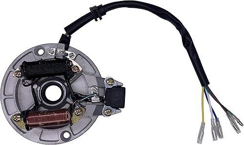 Estator Magneto de 2 bobinas de encendido compatible con 50cc 70cc 90cc 110cc 125cc Taotao Kazuma SSR Baja ATV Quad Kick Start Dirt Bike