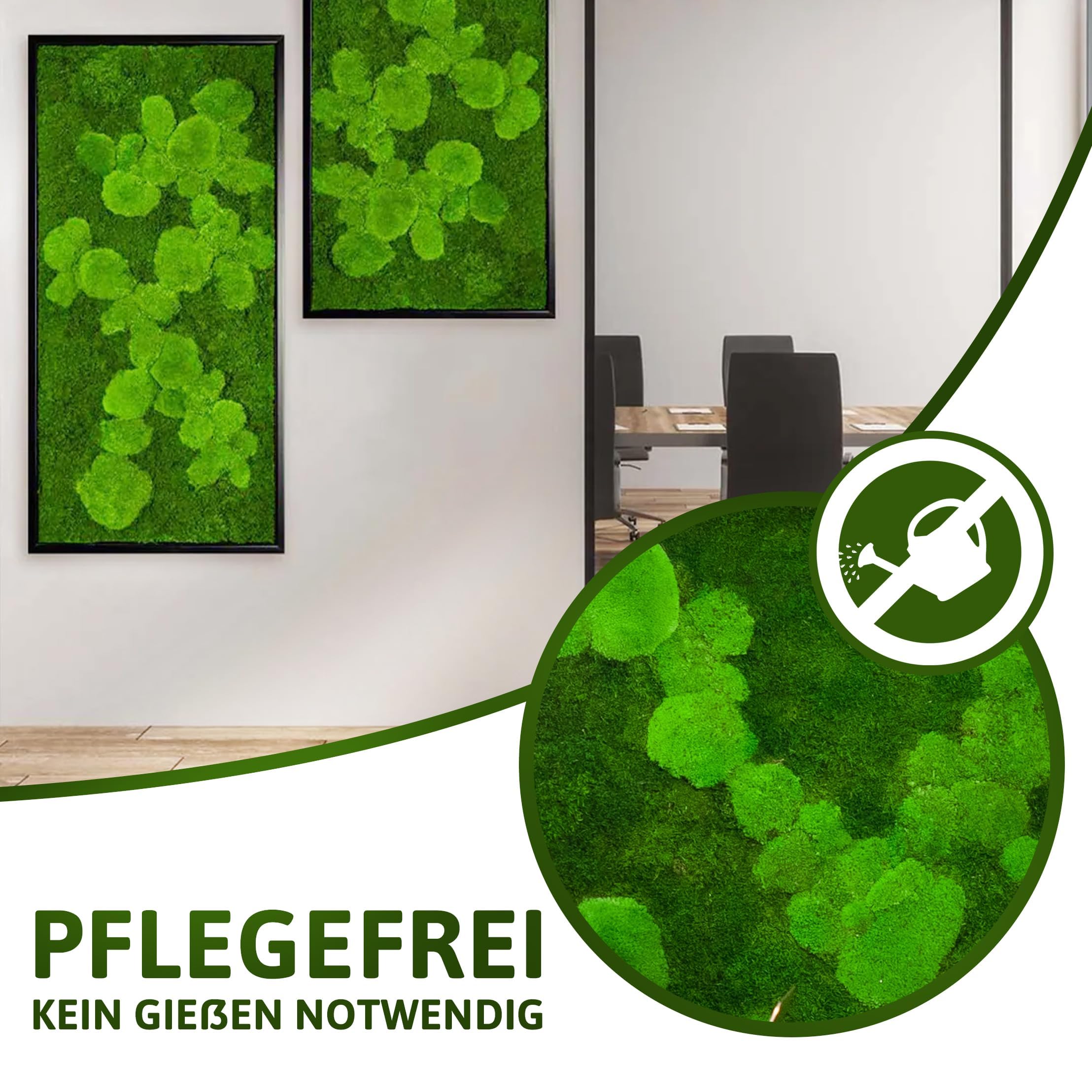 Moosbild Pflanzenbild mit Kugelmoos und Flachmoos versch. Maße günstig